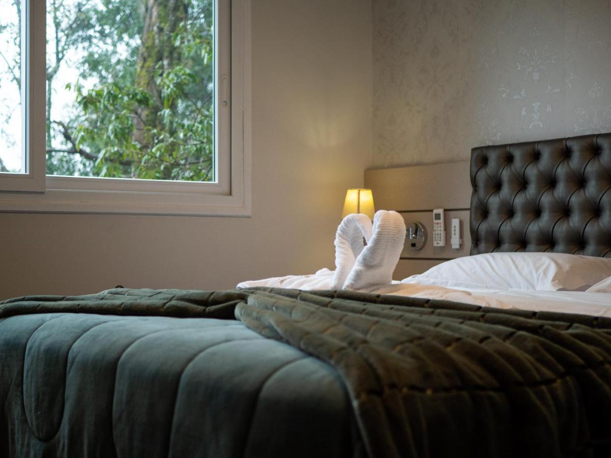 2 Suite, 1 Dormitorio Em Meio A Mata Araucaria A 1,5 Km Centro, Altos De Gramado Exterior foto